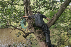 IMG20211004154102-scaled