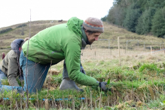 Friendly-Soap-Forus-Tree-10