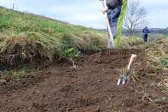 Friendly-Soap-Forus-Tree-5