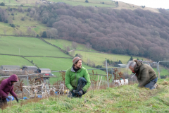 Friendly-Soap-Forus-Tree-7